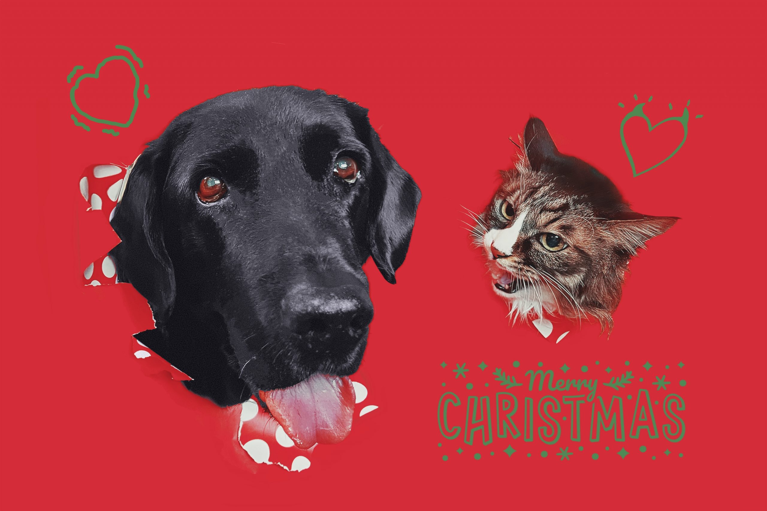 2024: Consistency, for a change